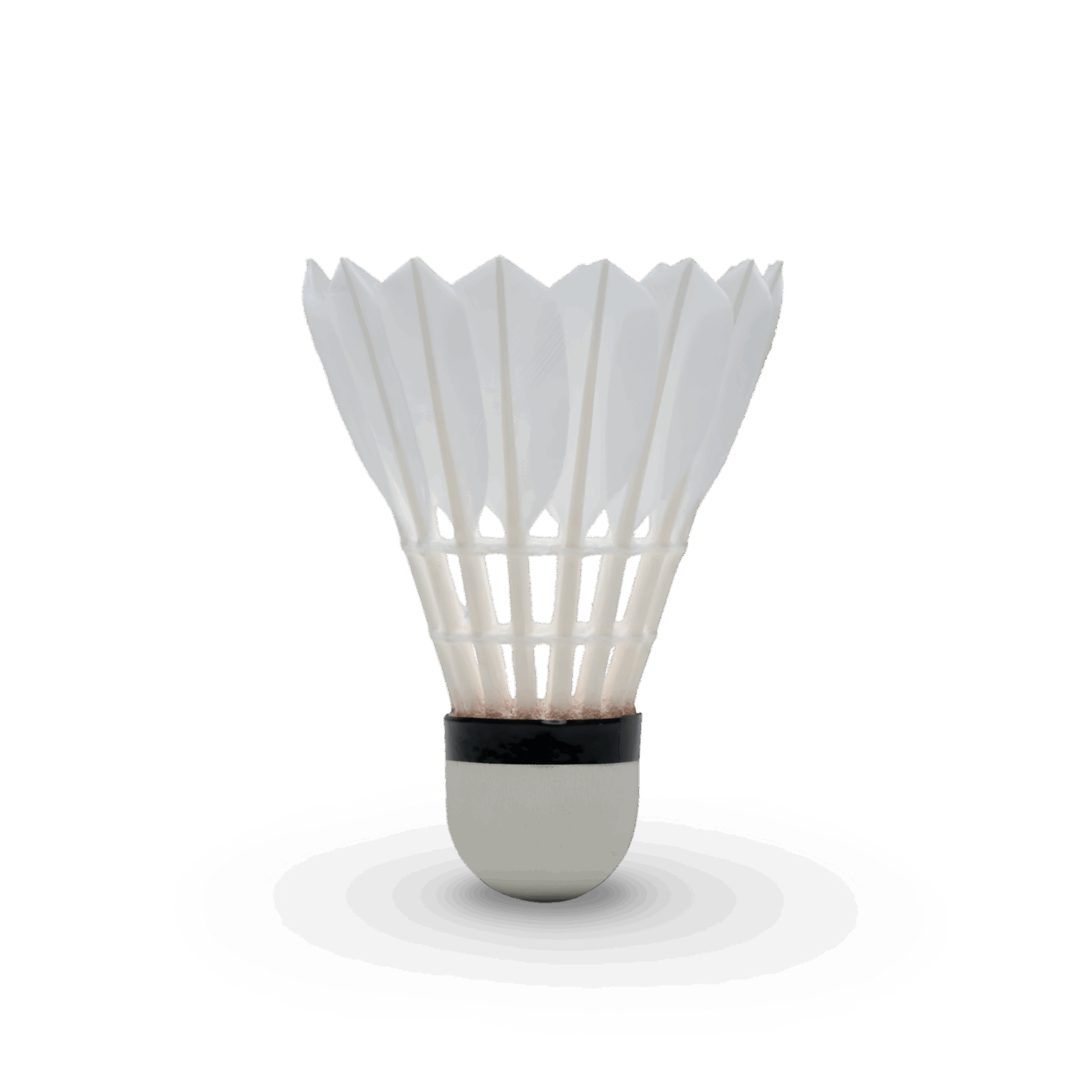 Hundred F5 Feather Shuttlecock – 3 – Sportz Wave